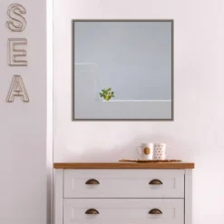 22" X 22" Solo Succulent By Rolf Endermann Framed Canvas Wall Art Gray Wash - Amanti Art -Adesso Store GUEST 02e0e5a3 8e99 427c a559 ad5ea08a171d