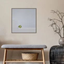 22" X 22" Solo Succulent By Rolf Endermann Framed Canvas Wall Art Gray Wash - Amanti Art -Adesso Store GUEST 09809f40 5ae0 4ffe 970a dc762b23adc2