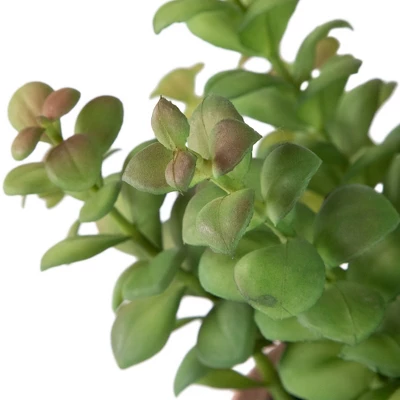 Northlight Real Touch™ Artificial Privet Plant In Vintage Milk Can Style Earthenware Pot - 14" 7 Northlight Real Touch™ Artificial Privet Plant In Vintage Milk Can Style Earthenware Pot - 14" - Image 5