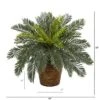 Nearly Natural 15-in Cycas Artificial Plant In Basket -Adesso Store GUEST 10f7c47d 4113 4903 8cfb 7b6f577a4b57