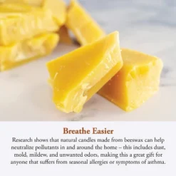 Candle By The Hour 48-Hour Candle Refill, Eco-friendly Natural Beeswax With Cotton Wick -Adesso Store GUEST 1be736d2 98df 44a4 a9c7 7790105f7a35