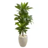 Nearly Natural 4-ft Artificial Dracaena Plant In Sand Colored Planter (Real Touch) 2 Nearly Natural 4-ft Artificial Dracaena Plant In Sand Colored Planter (Real Touch) -Adesso Store GUEST 1c54069c a544 4cdc 8485 73937a15e03f