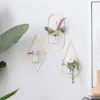 Metal Geometric Wall Decor With Glass Holder Set Of 3 Gold - CosmoLiving By Cosmopolitan 2 Metal Geometric Wall Decor With Glass Holder Set Of 3 Gold - CosmoLiving By Cosmopolitan -Adesso Store GUEST 24c3ffe6 3823 4d11 8387 a44acf201731