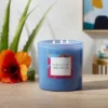 28oz Glass Moonlit Hibiscus Candle Light Blue - Opalhouse™ -Adesso Store GUEST 2c95080b 9726 45aa 9b0e 3946015c92e0