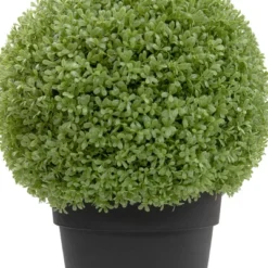Northlight 22" Artificial Boxwood Ball Topiary In Round Pot, Unlit -Adesso Store GUEST 367a9006 0a07 4ebd a2fe 3e22c2f8f783