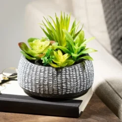 Sullivans Artificial Succulent In Cement Planter 6"H Green -Adesso Store GUEST 3f407ecb 2531 4435 ac72 f8e930d5b0c1