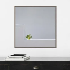 22" X 22" Solo Succulent By Rolf Endermann Framed Canvas Wall Art Gray Wash - Amanti Art -Adesso Store GUEST 4241cac6 08a1 4981 946f 7eb5ad72a5f4