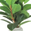 18" X 10" Artificial Rubber Plant In Pot - LCG Florals -Adesso Store GUEST 4963a6ed ef0d 4c96 b828 97b0da77667e