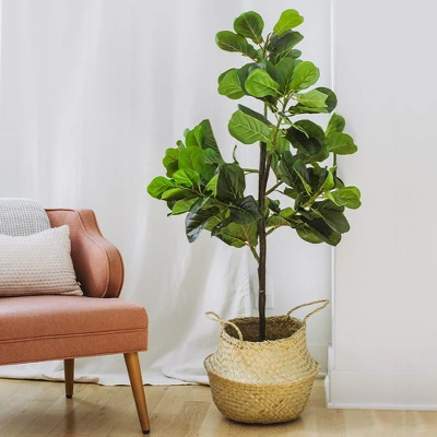 Forever Leaf 60" Artificial Fiddle Leaf Fig Tree With Black Pot, Indoor Artificial Plant For Home Decor 5 Forever Leaf 60" Artificial Fiddle Leaf Fig Tree With Black Pot, Indoor Artificial Plant For Home Decor - Image 3