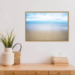 23" X 16" Hawaiian Shoreline And Ocean By Design Pics Danita Delimont Framed Canvas Wall Art - Amanti Art -Adesso Store GUEST 59205b1e e841 40ee 8bb1 6c5a0c8d0696