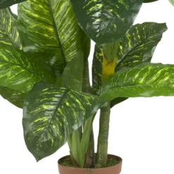 Nearly Natural 5' Dieffenbachia Silk Plant (Real Touch) -Adesso Store GUEST 598ae415 b171 4b54 b003 bc98d77cca3e
