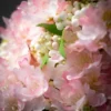 Sullivans Artificial Pink Blossom Cone Tree 27"H Pink Flowers -Adesso Store GUEST 5a4bd5ee 2722 4ec6 bf0f a9ca9c84889b