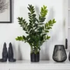 Nearly Natural 3-ft Zamioculcas Artificial Plant -Adesso Store GUEST 5b5e2cd3 4e60 4944 a12d ffaf3a4f2436
