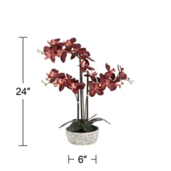 Studio 55D Potted Silk Faux Artificial Flower Realistic Red Orchid In Crackle Gray Vase For Home Decoration Living Room 24" High -Adesso Store GUEST 6bd5f92b 9ad1 4c04 af41 49006ea391e6