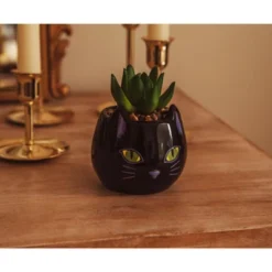 Silver Buffalo Disney Hocus Pocus "Binx Is My Boo" Ceramic Planter With Artificial Succulent -Adesso Store GUEST 73611c53 b994 41b3 882a d17fa28f7ba4