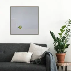 22" X 22" Solo Succulent By Rolf Endermann Framed Canvas Wall Art Gray Wash - Amanti Art -Adesso Store GUEST 76ada549 0a3d 4937 a29e 669a63ba2dbb