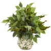 Nearly Natural Mixed Ficus, Fittonia And Berries Artificial Plant In Floral Vase -Adesso Store GUEST 7c817606 0ff9 4df1 931b 46a33a81092e