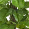 Nearly Natural 52" Large Leaf Philodendron Silk Plant (Real Touch) -Adesso Store GUEST 83122e1f d9ba 48f0 be5e a16d5dbd386c