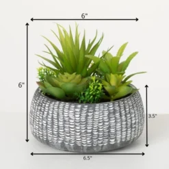 Sullivans Artificial Succulent In Cement Planter 6"H Green -Adesso Store GUEST 85268cda a12b 454c b4f2 bb17536087cc