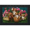 In The Garden Spring Doormat Indoor Outdoor 30" X 18" Briarwood Lane -Adesso Store GUEST 86bfe66a 882e 4402 83c4 3b50abac8897