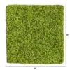 Nearly Natural 20-in X 20-in Duckweed Artificial Wall Mat -Adesso Store GUEST 86e4e146 4c53 4334 b10f 0b2cfb9b1fc0