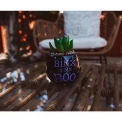 Silver Buffalo Disney Hocus Pocus "Binx Is My Boo" Ceramic Planter With Artificial Succulent -Adesso Store GUEST 8befd341 1d34 4d8d 828c 558261532501