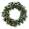 Northlight Snow Valley Pine Artificial Christmas Wreath, 24-Inch, Unlit -Adesso Store GUEST 8e101367 a27f 41dc ac02 8eb62ccf1ece