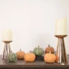 Northlight Set Of 6 Boxed Orange And Green Pumpkin Thanksgiving Decorations 1 Northlight Set Of 6 Boxed Orange And Green Pumpkin Thanksgiving Decorations -Adesso Store GUEST 8ffc2bcf d939 4393 b55a 31a9da2da5a6