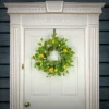 National Tree Company Artificial Spring Wreath, Woven Branch Base, Decorated With Lemons, Flower Blooms, Leafy Greens, Spring Collection, 22 Inches 1 National Tree Company Artificial Spring Wreath, Woven Branch Base, Decorated With Lemons, Flower Blooms, Leafy Greens, Spring Collection, 22 Inches -Adesso Store GUEST 93067d8b ff5a 441e 8db9 8d3422fe0d88