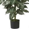 36" X 20" Artificial Zebra Silk Plant In Wicker Pot - Nearly Natural