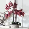 Studio 55D Potted Silk Faux Artificial Flower Realistic Red Orchid In Crackle Gray Vase For Home Decoration Living Room 24" High -Adesso Store GUEST 98b442f5 e71f 4534 b44c 14ea30343701