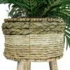 32" X 24" Artificial Palm Plant In Basket Stand - LCG Florals 2 32" X 24" Artificial Palm Plant In Basket Stand - LCG Florals -Adesso Store GUEST ae8a868d 359a 42f1 b3ee 048f5d9247eb