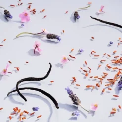 Good Chemistry™ Refillable Glass Candle And Plant-Based Candle Refill Kit Lavender And Ooh La La - 8.3 Oz -Adesso Store GUEST b98ad29f 2146 4712 90e6 cc3d275897e9