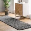 NuLOOM Shag Rug
