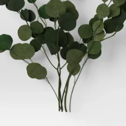 Preserved Eucalyptus Bundle - Threshold™ -Adesso Store GUEST c7dd4b87 faec 4ba4 94c4 c0953dd894d7