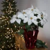 Northlight 22" White Artificial Christmas Poinsettia Flowers With Red Wrapped Base -Adesso Store GUEST d3c4483f 7612 4a36 9675 e2bd96a693df