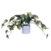 Vickerman 16" Artificial Green Variegated Leaves In Pot. -Adesso Store GUEST d59cfa33 bcac 4065 ae81 7f506b48408a