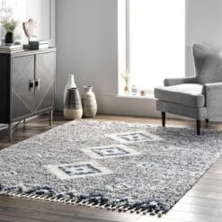 NuLOOM Transitional Regina Shag Area Rug