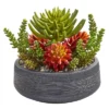 Nearly Natural 12-in Succulent Garden Artificial Plant In Bowl -Adesso Store GUEST ee920bd8 21ea 4ce0 afe2 65146e746587