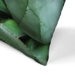 Agave On Pink By Tanya Shumkina Throw Pillow - Americanflat