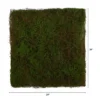 Nearly Natural 20-in X 20-in Artificial Moss Mat -Adesso Store GUEST fbe0618f cd4a 443b b7fa f24649214364